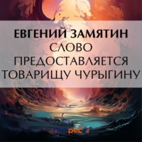 . Слово предоставляется товарищу Чурыгину