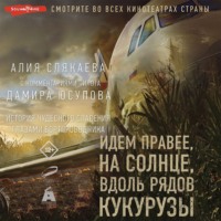 . Идем правее, на солнце, вдоль рядов кукурузы. История чудесного спасения глазами бортпроводника