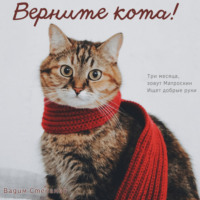 . Верните кота