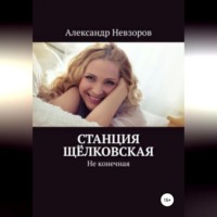 . Станция Щёлковская