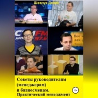 Денис Александрович Шевчук. Советы руководителям (менеджерам) и бизнесменам. Практический менеджмент