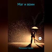 . Маг и воин