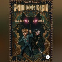 . Хроники юного колдуна: Земляная кошка