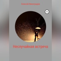 . Неслучайная встреча
