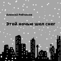 . Этой ночью шел снег