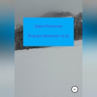 Дарья Валентиновна Путевская. Рождественское чудо