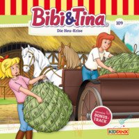 . Bibi & Tina, Folge 109: Die Heu-Krise