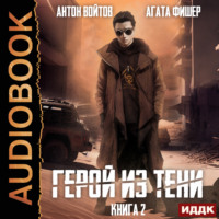 . Герой из тени. Книга 2