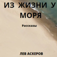 . Из жизни у моря