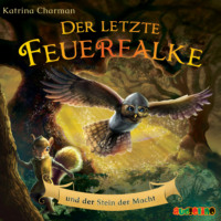 . Der letzte Feuerfalke und der Stein der Macht - Der letzte Feuerfalke, Band 1 (ungek?rzt)