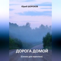 Юрий Шорохов. Дорога домой