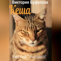 . Кеша. Книга вторая «Тайны прошлого»