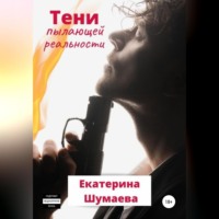 . Тени пылающей реальности
