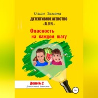 . Детективное агентство «Л.У.Ч.». Опасность на каждом шагу. Дело № 2