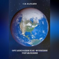 Сергей Каледин. Организация как функция управления