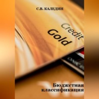Сергей Каледин. Бюджетная классификация