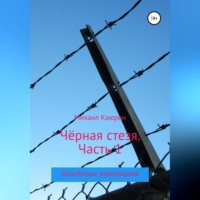 Михаил Александрович Каюрин. Чёрная стезя. Часть 1