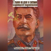. Сталин на деле и глазами выдающихся современников