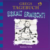 . Gregs Tagebuch, Folge 13: Eiskalt erwischt!