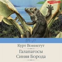 . Галапагосы. Синяя Борода