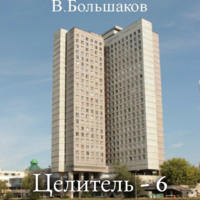 Валерий Большаков. Целитель. Любовь, комсомол и физфак