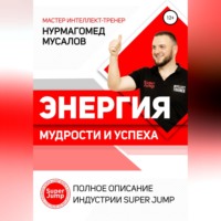 . Энергия Мудрости и Успеха. Полное описание индустрии Super Jump