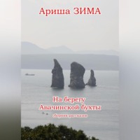 . На берегу Авачинской бухты