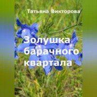 . Золушка барачного квартала