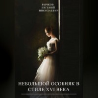 . Небольшой особняк в стиле XVI века