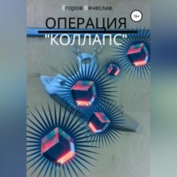 Вячеслав Анатольевич Егоров. Операция «Коллапс»