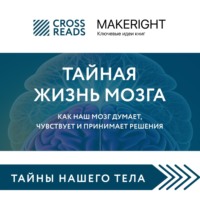 . Саммари книги «Тайная жизнь мозга. Как наш мозг думает, чувствует и принимает решения»