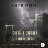 . Санай и Сарацин. Темное дело