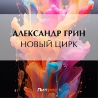 . Новый цирк