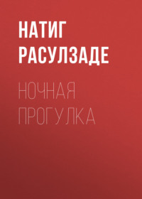 . Ночная прогулка