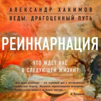 . Реинкарнация. Что ждет нас в следующей жизни?