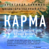 Александр Хакимов. Карма. Как обрести высшую цель в своей жизни?