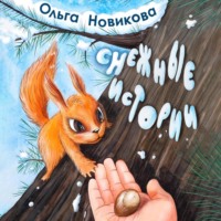 Ольга Николаевна Новикова. Снежные истории