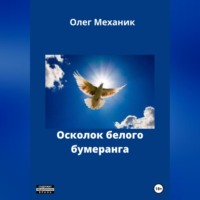 . Осколок белого бумеранга