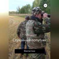 . Случайный попутчик