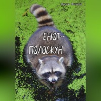 Фаргат Закиров. Енот-полоскун