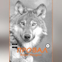 . Провал