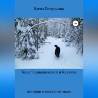 . Воля, Чернышевский и Калачик