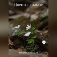 Николай Иванович Липницкий. Цветок на камне