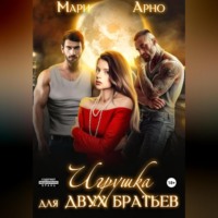 . Игрушка для двух братьев