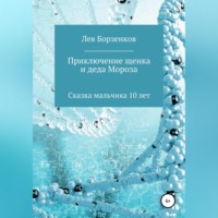 . Приключение щенка и Деда Мороза. Сказка мальчика 10 лет