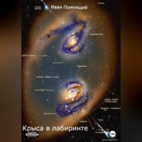 . Крыса в лабиринте
