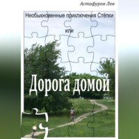 . Необыкновенные приключения Стёпки, или Дорога домой