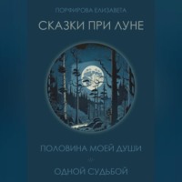Елизавета Порфирова. Сказки при луне. Часть первая