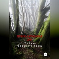 . Приключения ДД. Тайна Чёрного леса