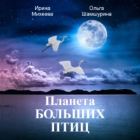 . Планета Больших Птиц